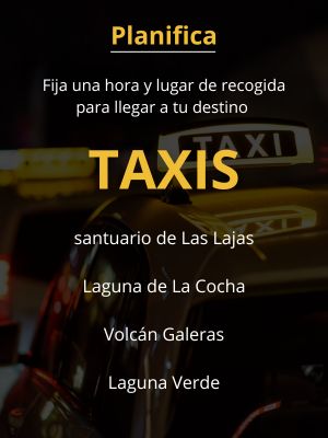 taxis en pasto